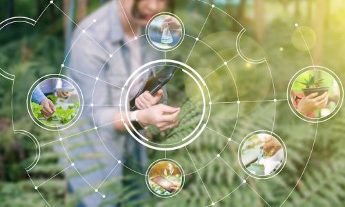 Various photos of Agriculture farmers using computer laptop device technology checking on plants and forest data analysis on plant growth visual icon, cultivating nature reserving environment.